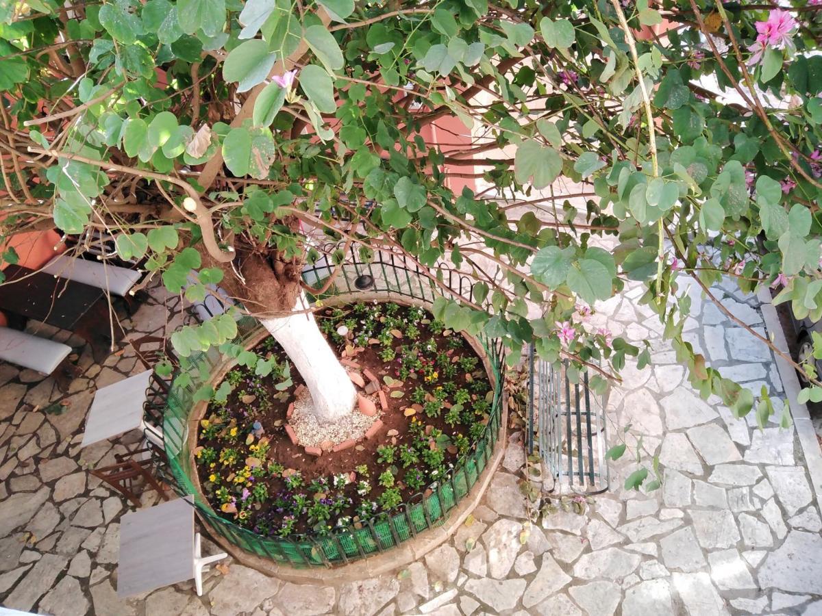 Lilliput Studio Corfu Old Town מראה חיצוני תמונה