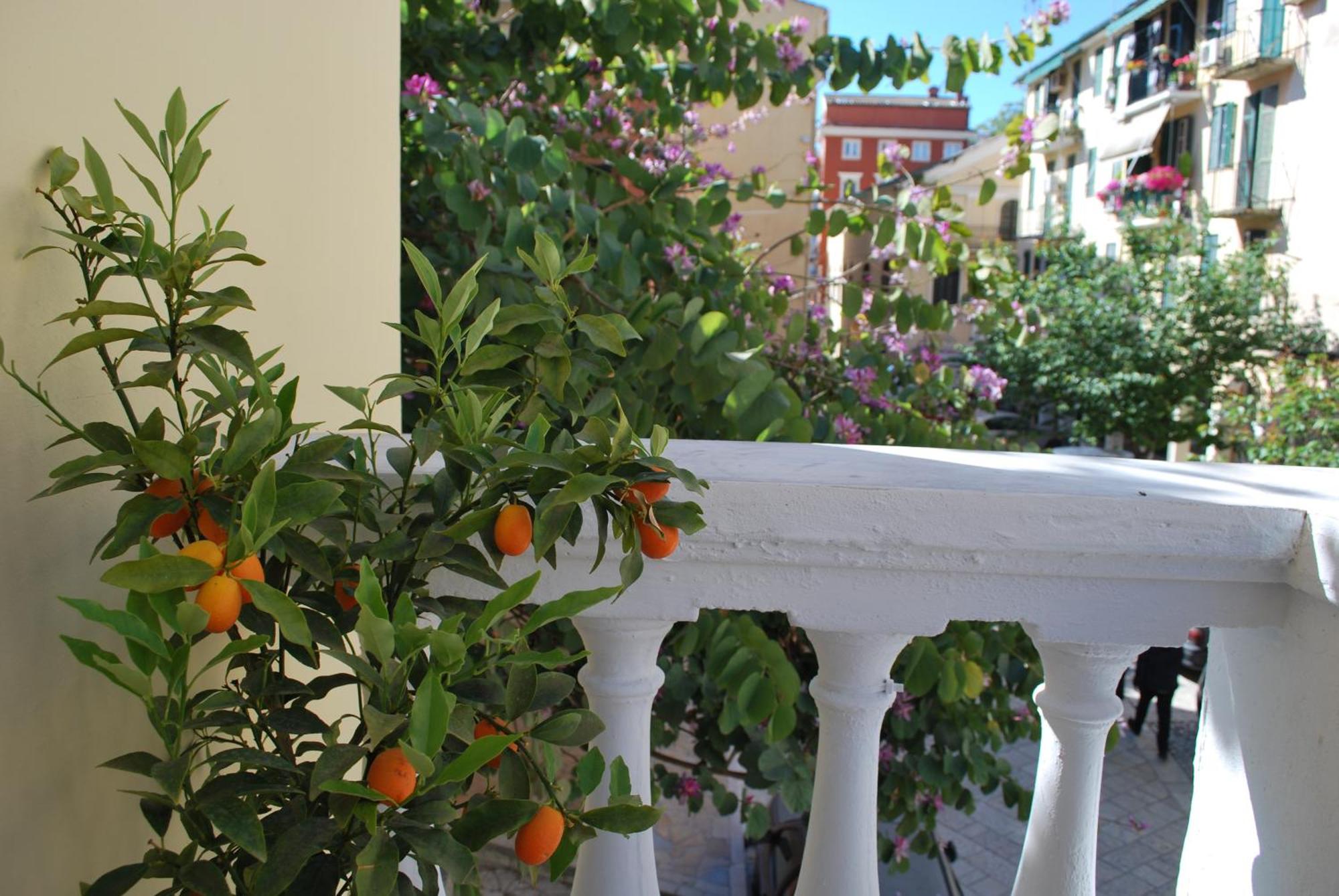 Lilliput Studio Corfu Old Town מראה חיצוני תמונה